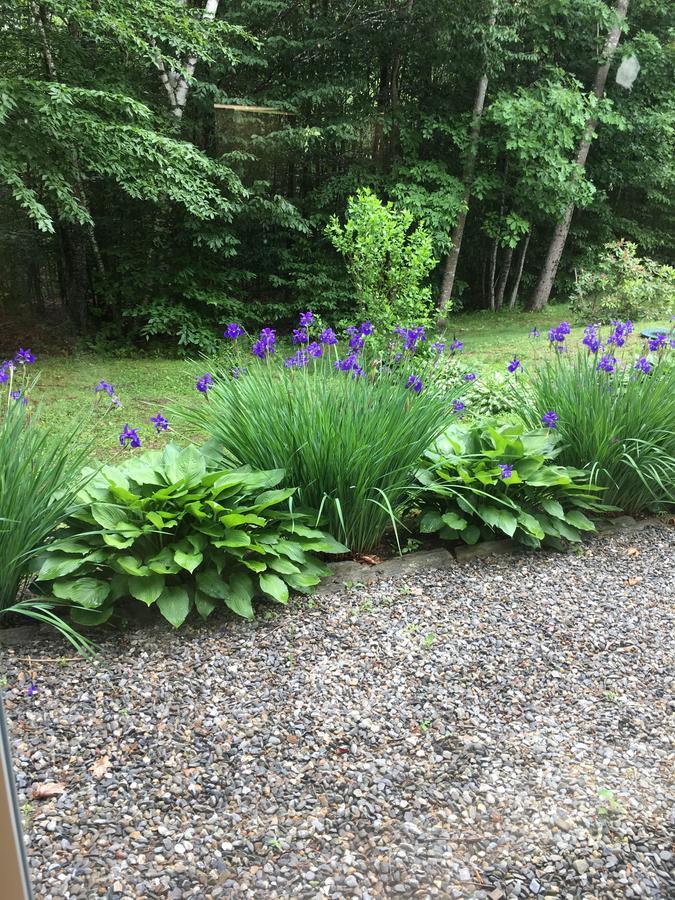 Blueberry Fields Bed & Breakfast Jefferson Exterior foto
